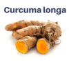 curcumin_1