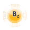 b2