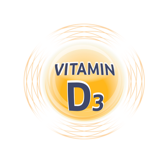 PICT-VIT-D3