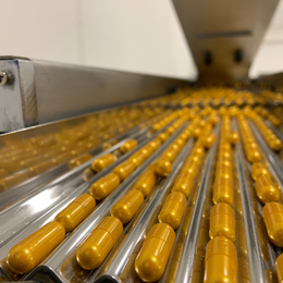 NEW SERVICES - Capsules Manufacturing Services