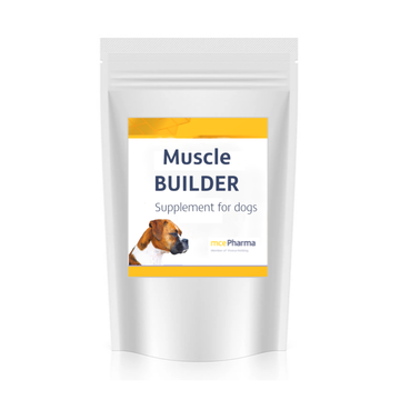 Muscle Builder - muscles for your dog!
