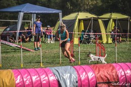 Sponsoring dogs agility