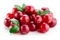 Standardized extract from Canadian cranberries